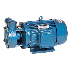 定(ding)西W旋渦泵