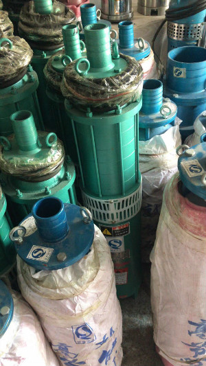 西(xi)安水泵(beng)